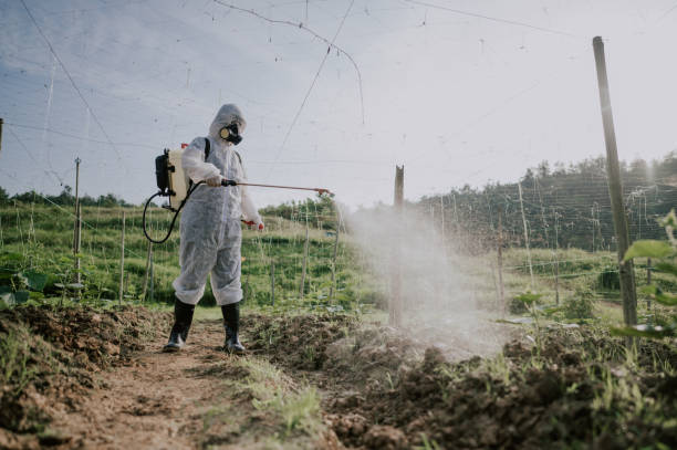Best Pest Control Treatment  in Hobart, WI