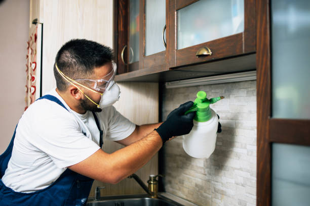 Best Mosquito Control Services  in Hobart, WI