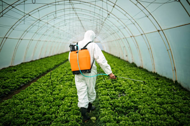 Best Emergency Pest Control  in Hobart, WI