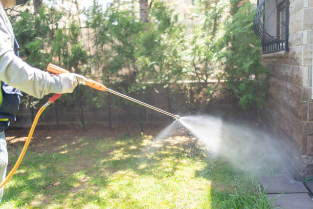 Pest Prevention Services in Hobart, WI
