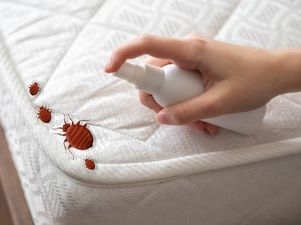 Best Best Pest Control Companies  in Hobart, WI